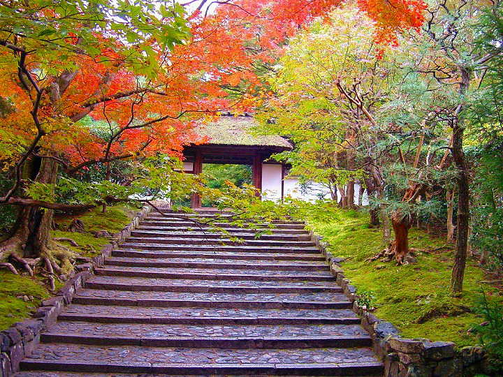 京都　安楽寺　紅葉　＆　黄葉