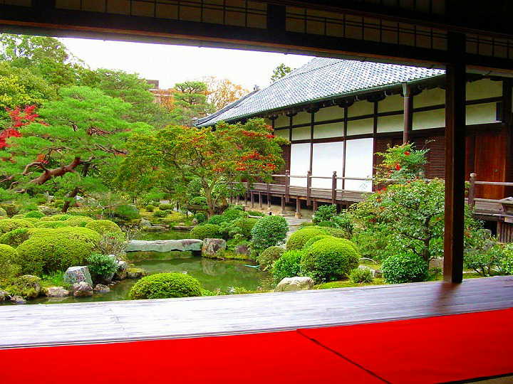 京都　等持院　紅葉　＆　黄葉