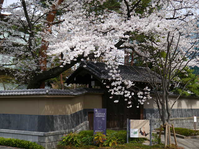 蘆花恒春園　桜 写真