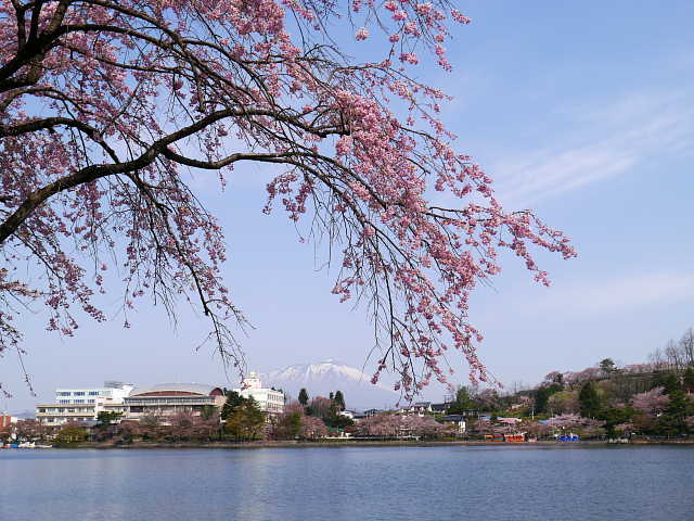 盛岡　高松の池　写真