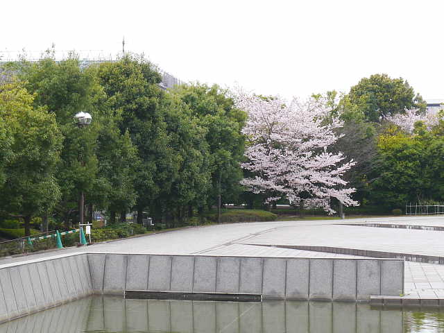 東京国立博物館　庭園　 写真