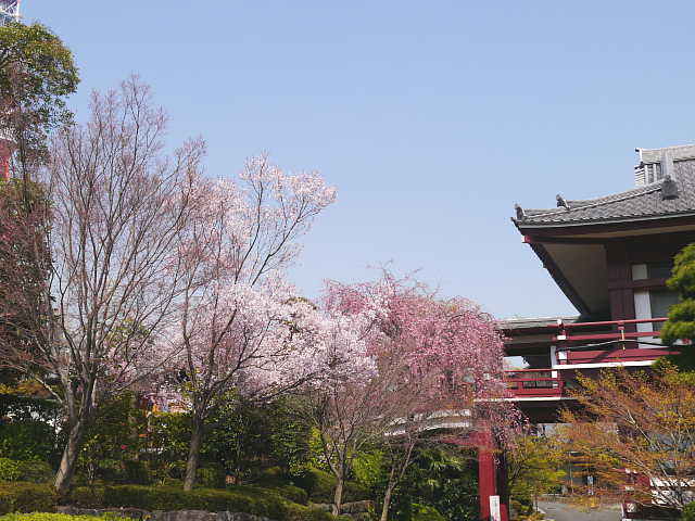 増上寺　写真